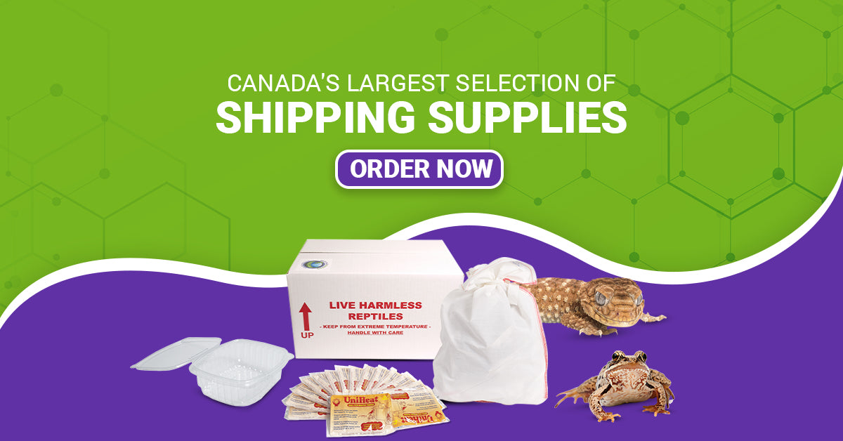 Shop Reptile Shipping Supplies Reptile Express Inc.
