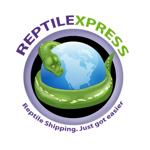 Reptile Express Logo Sticker